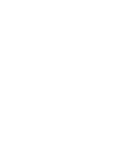 Stone Coast Logo - White Coastline (Maine)